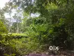 Urgent sell land 1.5 kotha near dibrugarh bypass