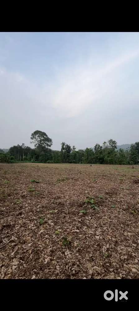 1.40 acre land .maragattupally pala road,near SME nursing College