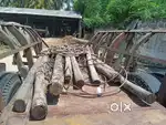 Sugar cane Trailer for sale