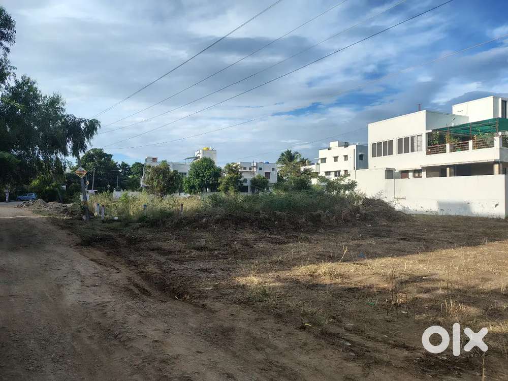 Vilankuruchi kalapati road