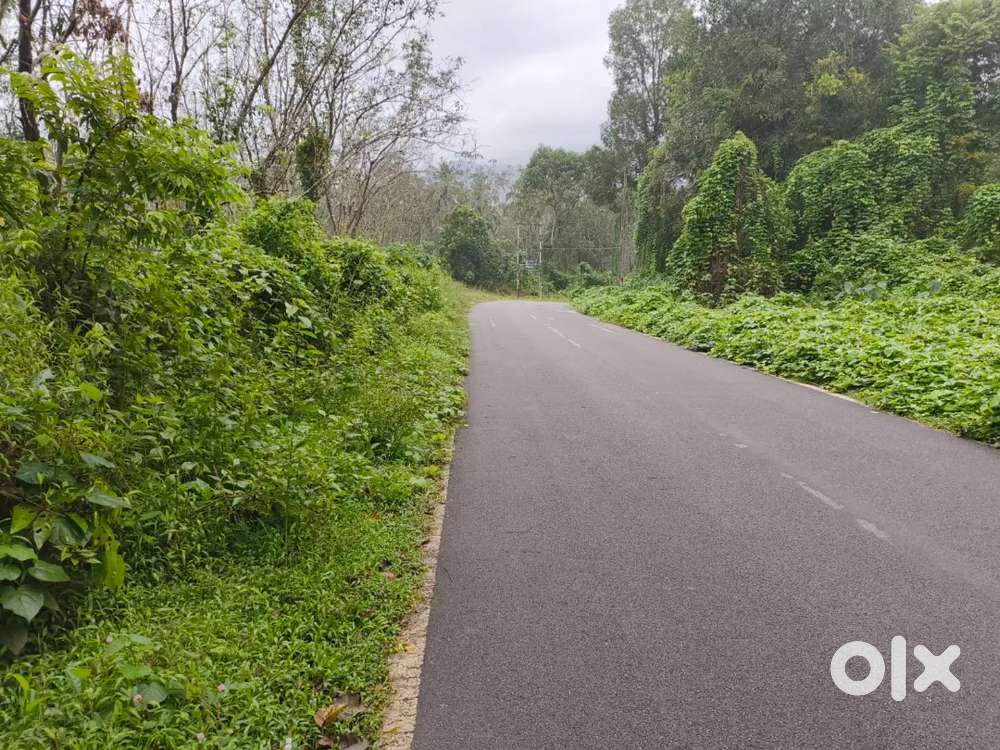 2.25 acre Agri land Neere bailur Hiriyadka