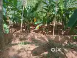 58 Cent Residencial Area Plot for Sale in Kulasekharam