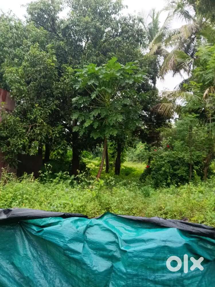 Land for sale Melmaruvathur