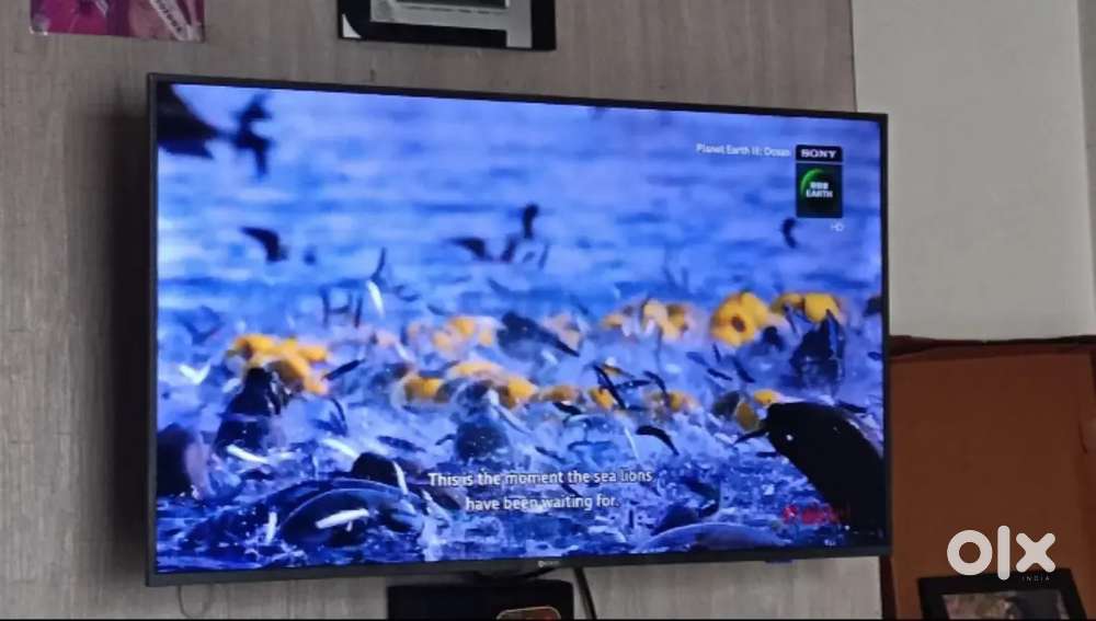 Koryo 43 inch 4k TV