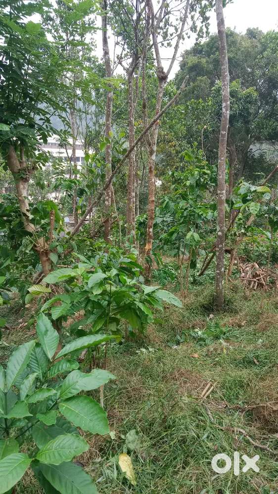 Plot for sale at Ramakkalmedu Highway.Opp,Vijaya Matha Public School.
