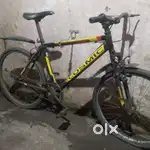 ITS COSMIC CYCLE