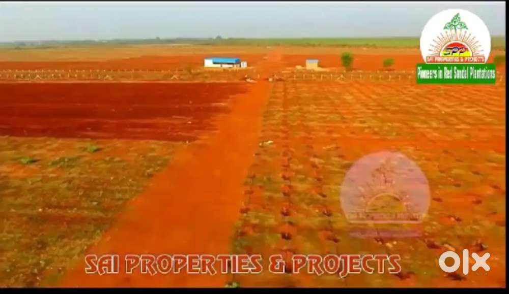 Red sandal Agriculture land for sales