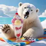 Polar Bear - Guest Service Associate