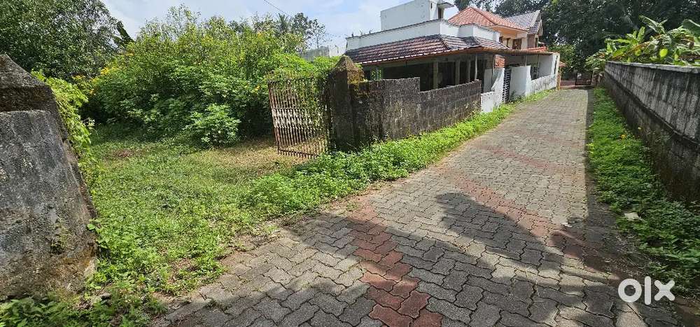 House plot for sale nearest Thrikodithanam changanacherry