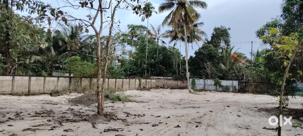 ചേർത്തല മാർട്ടിൻ പള്ളിക്ക് സമീപം 8cent10cen20cent കടമുറി വീടിനുംt