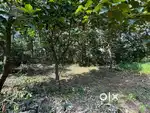 Corner Plot with sanad and clear title for sale 230 Sqm