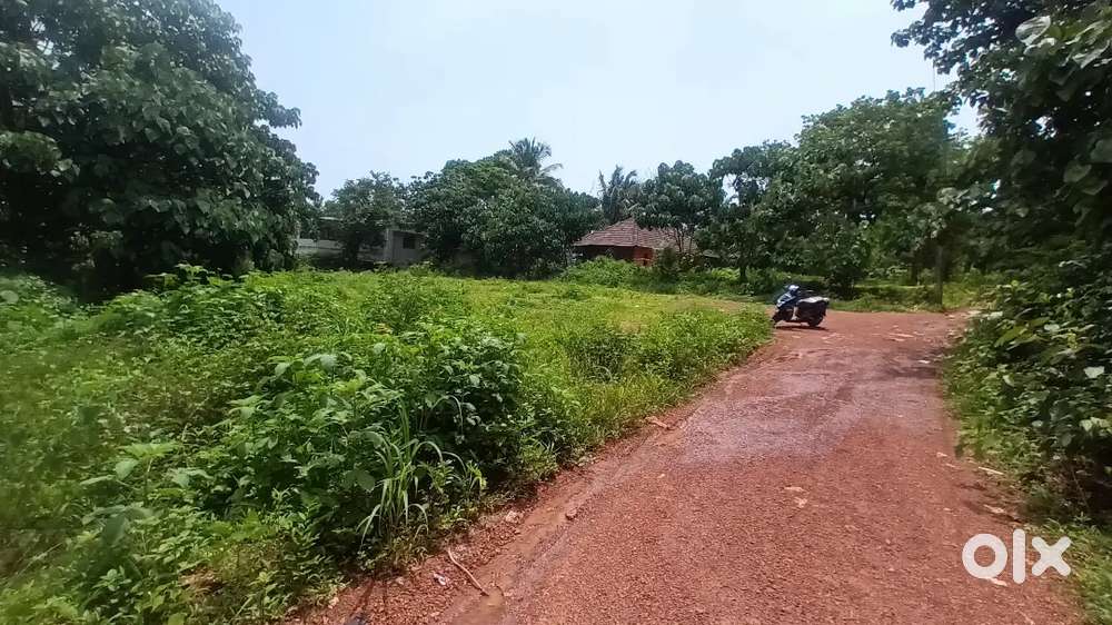 2 bh k flate rent & leazz available manjeshwar to kasargod contact  mi