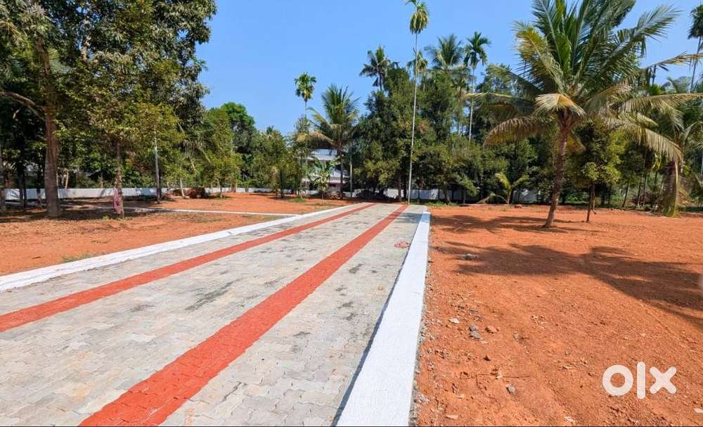 Near Holy Grace School Mala Ashtamichira,Premium Plots,Free Reg,3 L DP