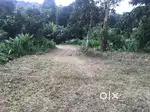 9 cent house plot for sale Near mutholy Kadvu Pala Brilliant Cherpunak