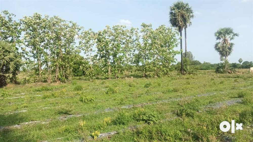 Agriculture land for sale in Acharapakkam Chennai South