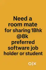 Need roommate for sharing 1bhk preferred software person.