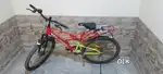 PASSO EX one year old cycle