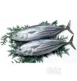 Fish cutting master