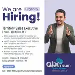 TERRITORY SALES EXECUTIVE