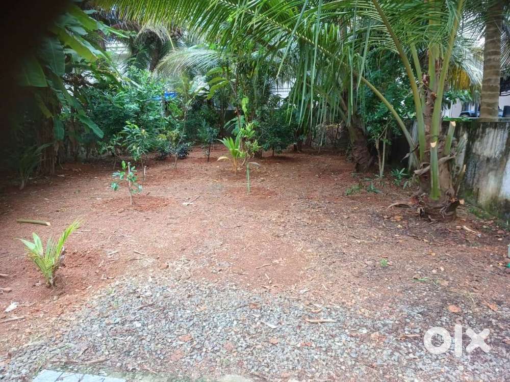 7 cents of Land in Kadavanthra.