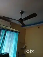 Havells Ceiling fan 3nos for sell 56 inch