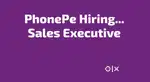 Business Development Executive (PhonePe Pvt Ltd,BBSR)