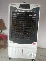 Coller good condition