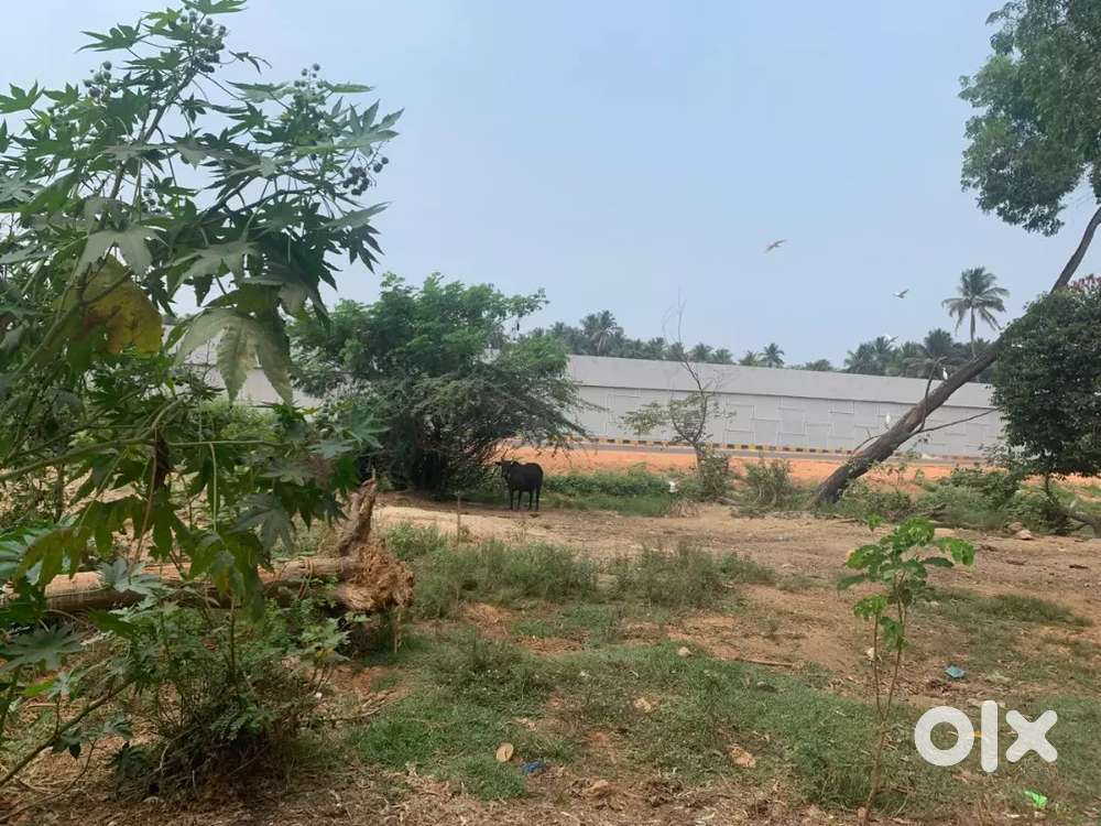 Check my description  for multiple property Villa &plot