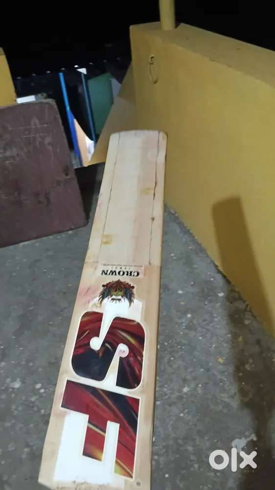 Cricket ball bat