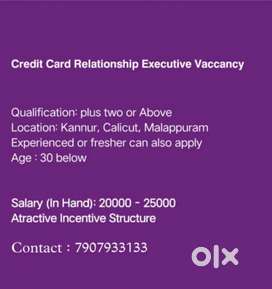 Credit card sales executive