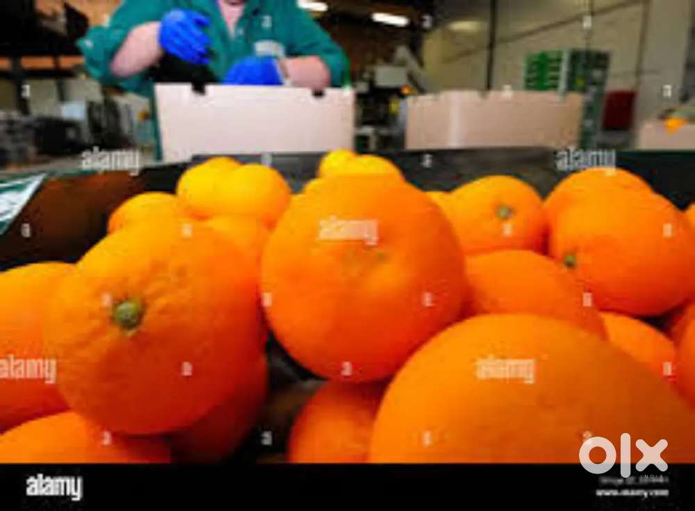 Wanted male/female packing staffs  partime/fulltime