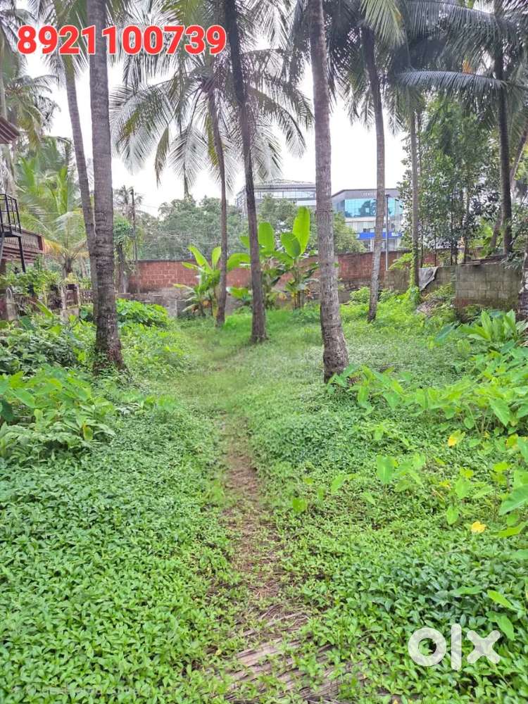 10 and 7 cent for sale opposite lulu mall