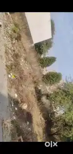 Near rama rama society mahaveer Nagar