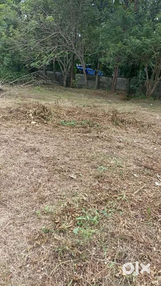 14 സെന്റ് കരഭൂമി ഇരിങ്ങാലക്കുട