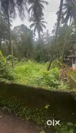6.5 lakh 5 Cent - Chelavoor, kozhikode