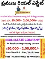Real estate sales manager