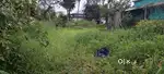 Eranakulam edapilly manjummel 9 cent house plot