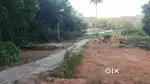 Land for sale. 800 meters from National Highway,Mangalapuram
