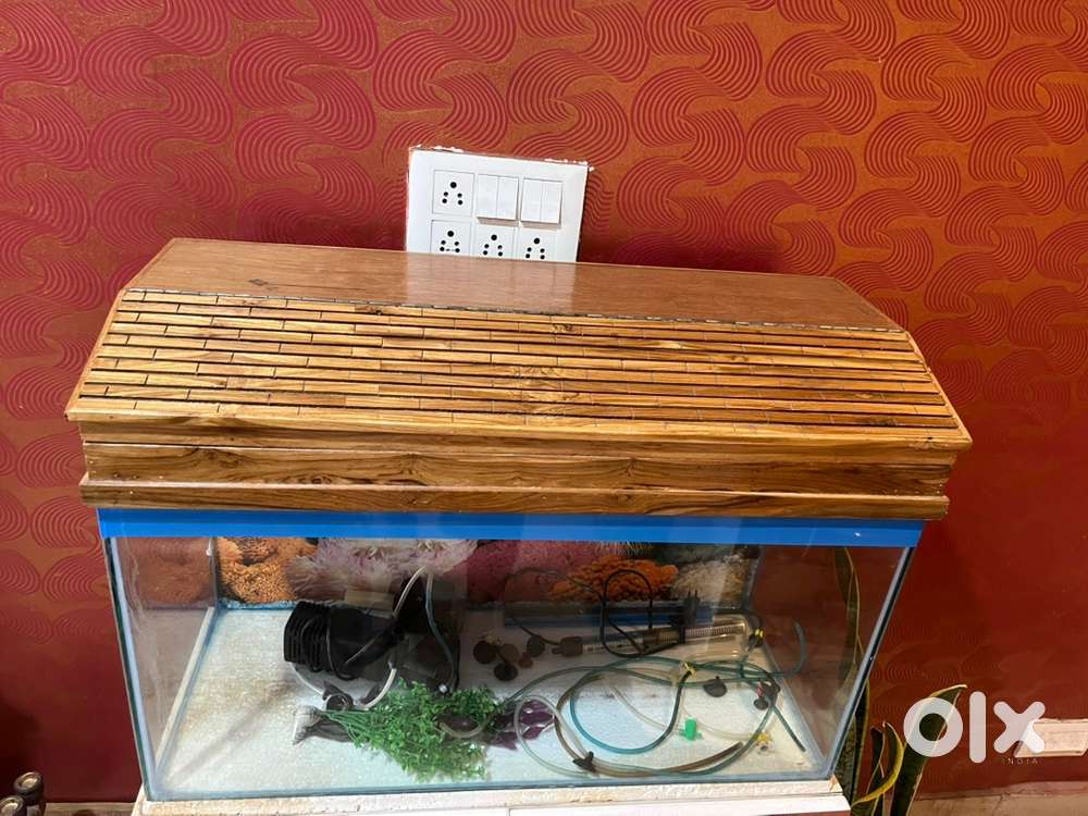 Aquarium with Accessories