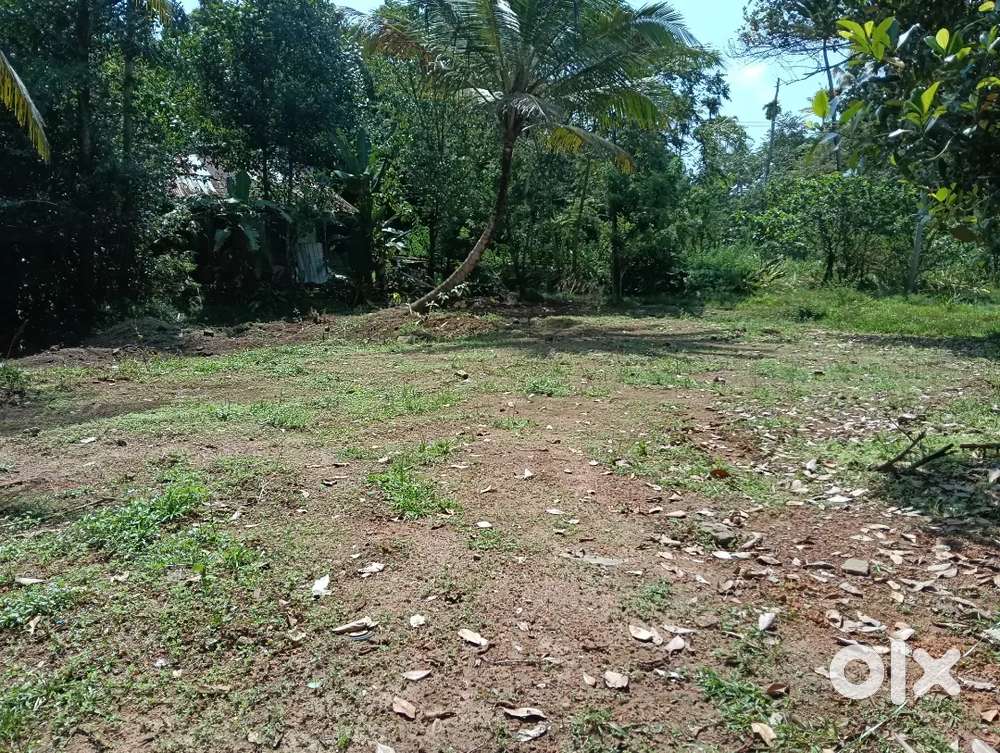 ചാലക്കുടി കാടുക്കുറ്റിയിൽ  5സെന്റ് മുതൽ ഹൗസ് പ്ലോട്ടുകൾ വില്പനക്ക്