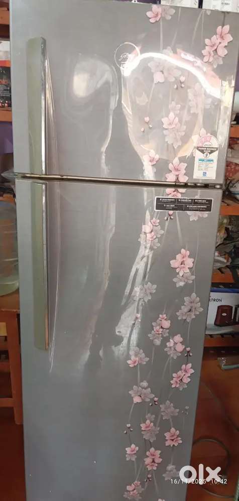 Godrej 290 litre double door fridge