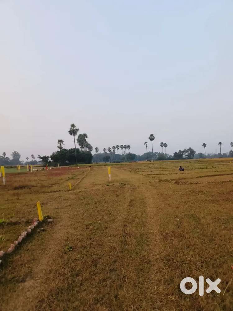 We develop society in bihta,vikram,naubatpur,rajgir, muzaffarpur