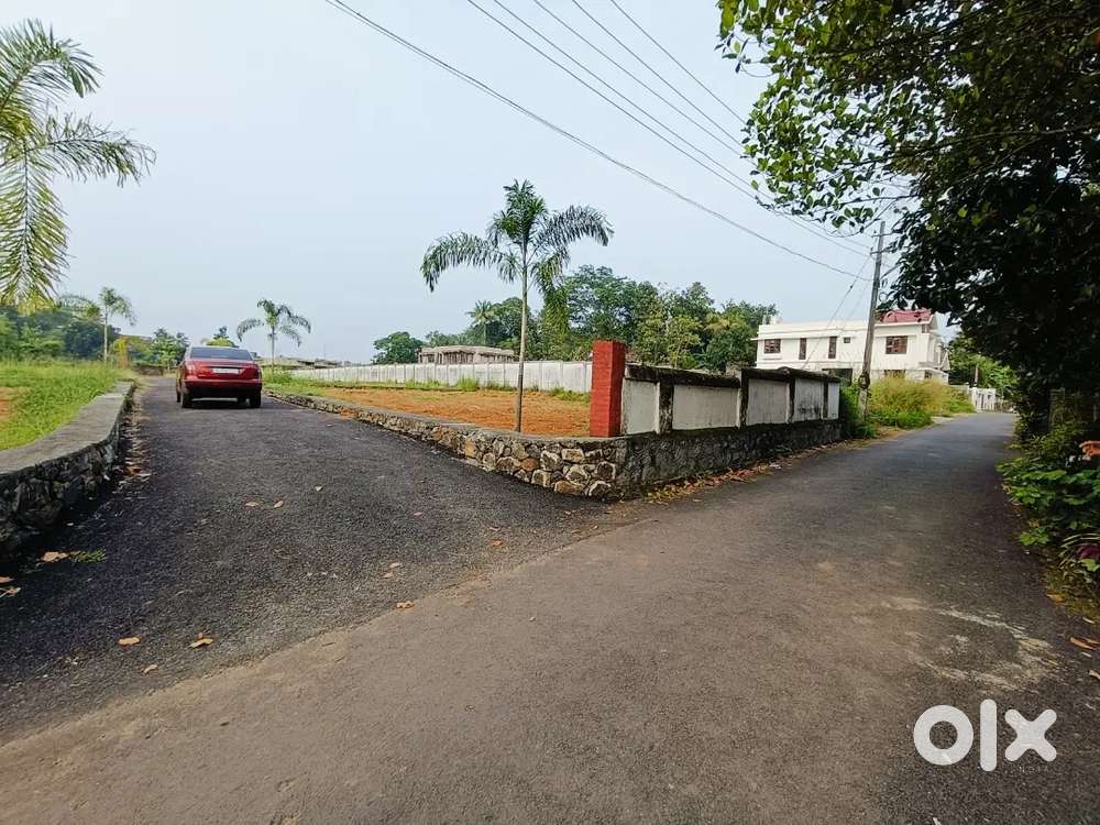 6&10 More Cent. Nedumbassery Airport jn. House Plots Tar