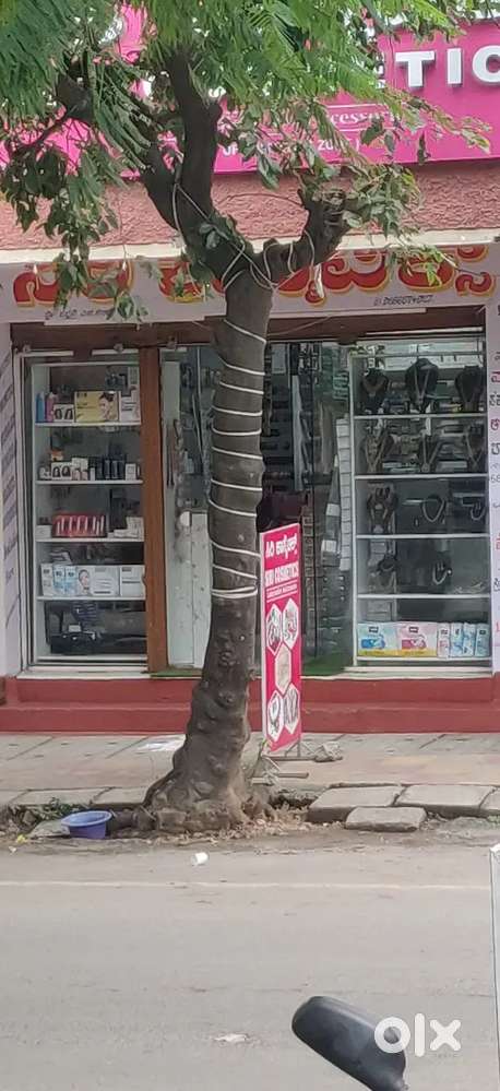 Fancy store farnichar