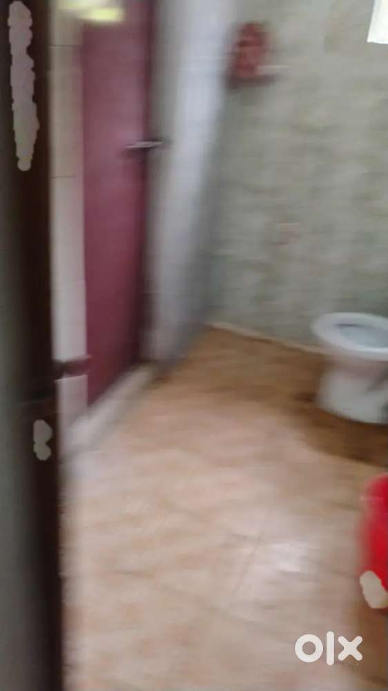 Pg for working bachelors