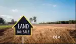 8,10,15 cent plot for sale in palakkad town