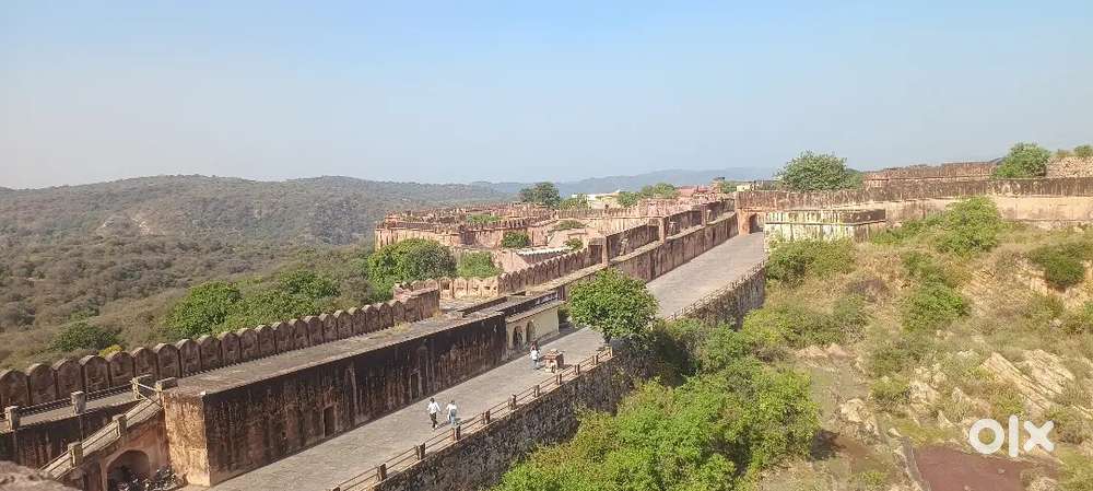 महिला रसोइया