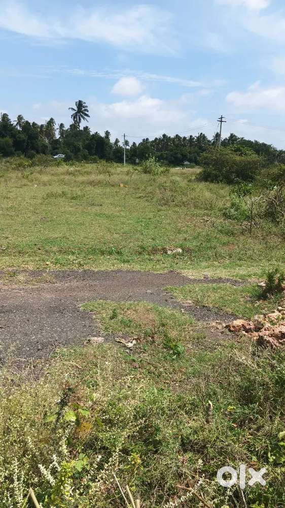 D. T. P approvel site sell near achipattai disa school