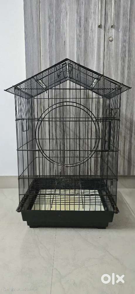 Used bird Cage