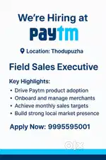 Field sales executive
